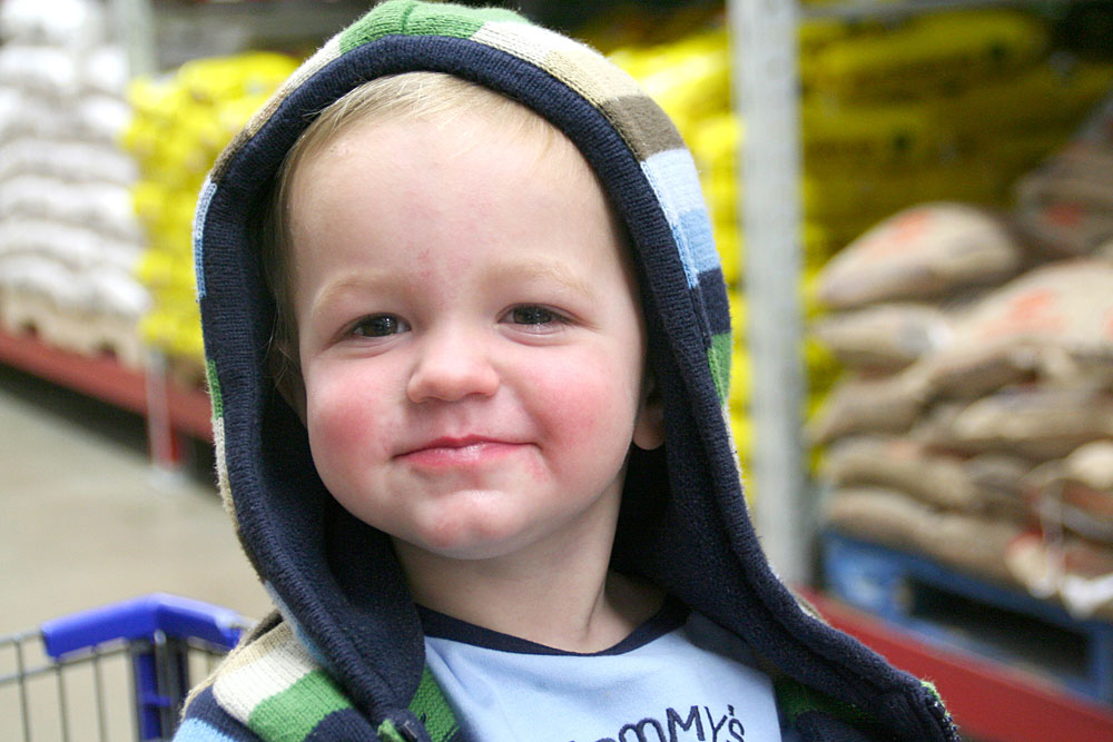 A little boy in a cart at a grocery store