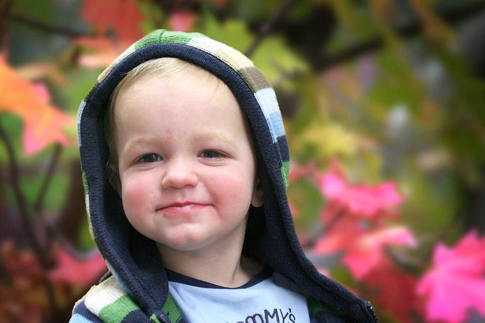 A little boy with fall leaves in the background