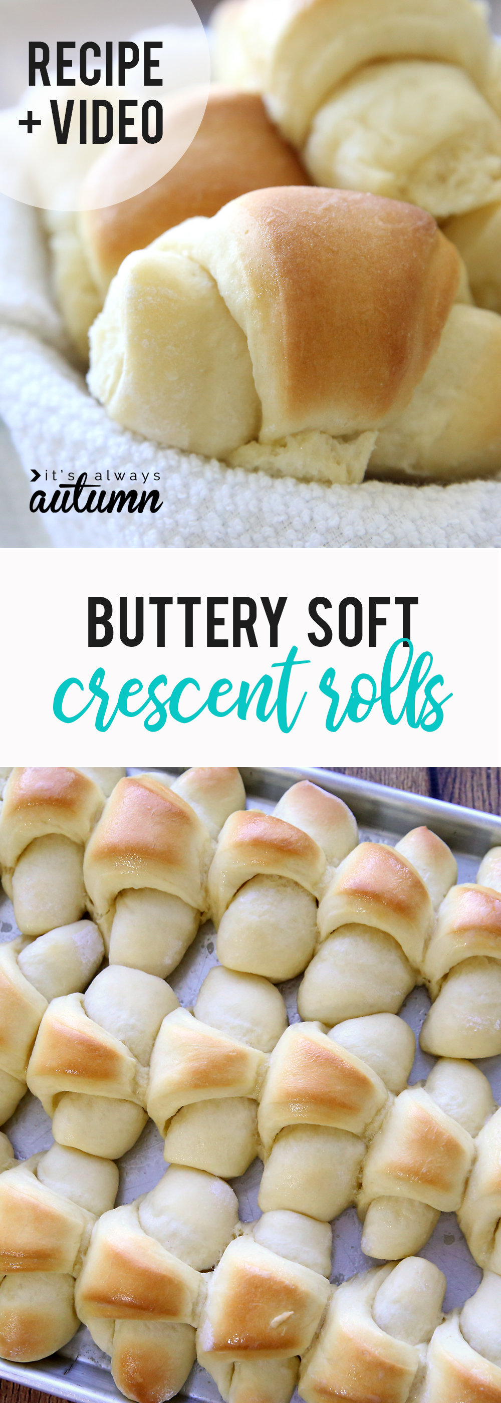 A close up of food: buttery soft crescent rolls