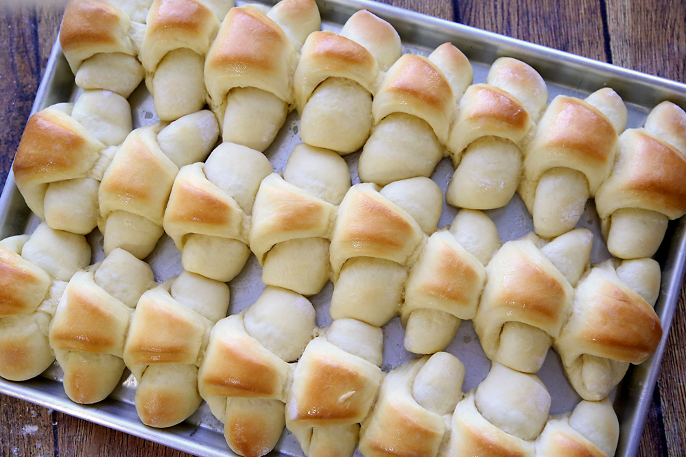 24 homemade crescent rolls on a baking sheet, cooked until golden brown