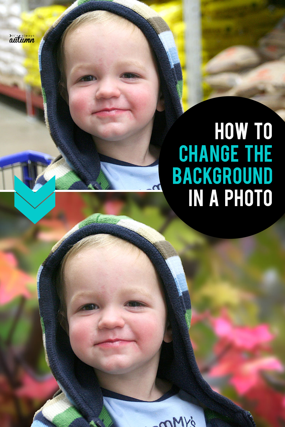 Learn how easy it is to change the background in a photo with just a few clicks!