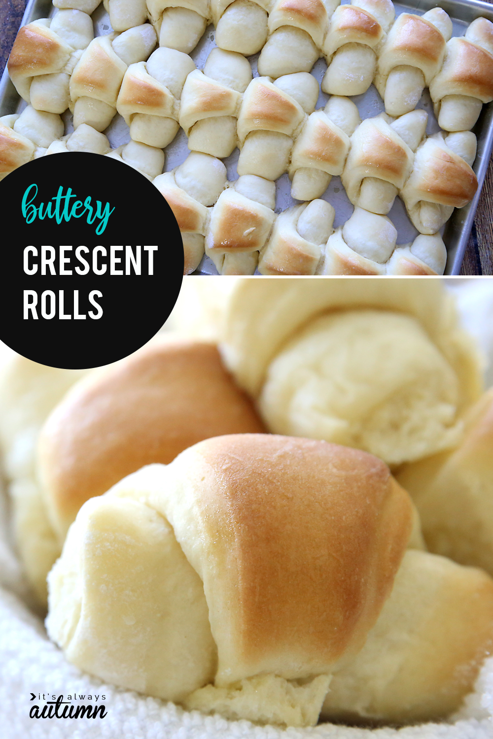 These buttery soft crescent rolls are the best homemade rolls you've ever tasted! Click through for the recipe and a video tutorial.