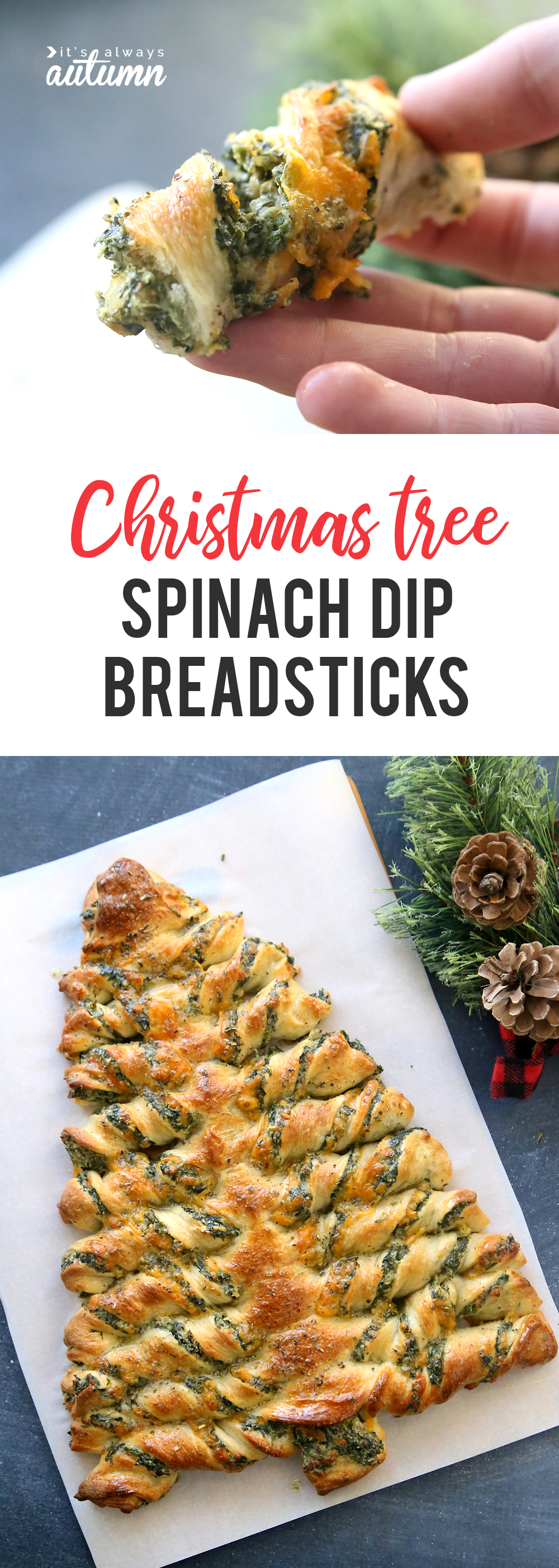Spinach dip filled breadsticks in the shape of a Christmas tree