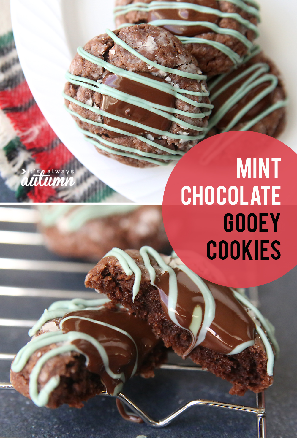 Mint chocolate gooey cookies are the best cookies you've ever tasted! Super easy Christmas cookie recipe.
