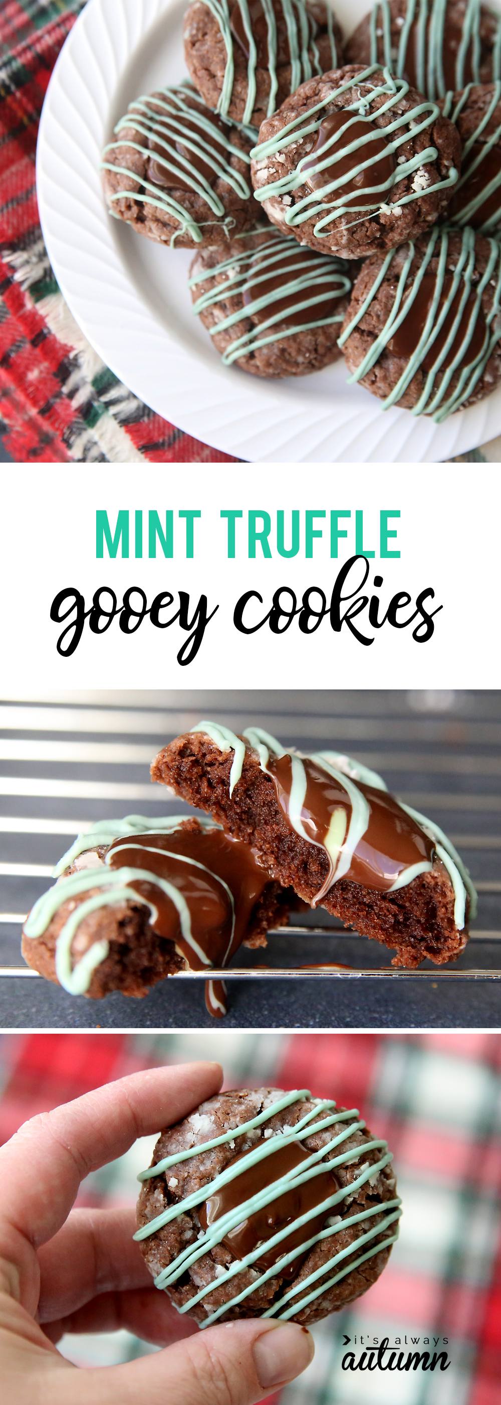 Mint truffle gooey cookies