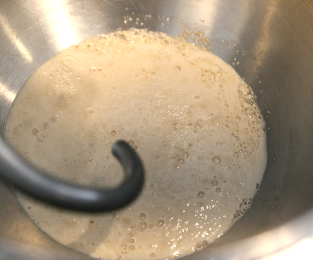 A mixer bowl with water and yeast in it