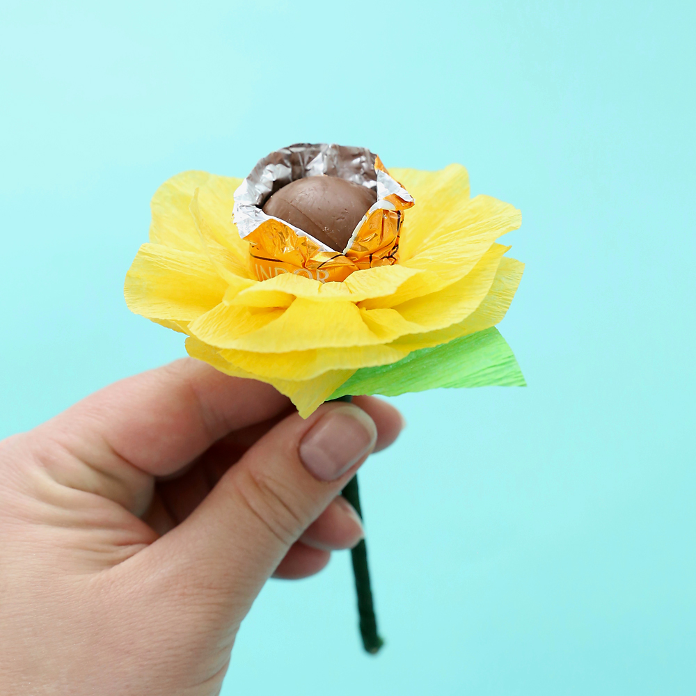 hand holding chocolate truffle flower