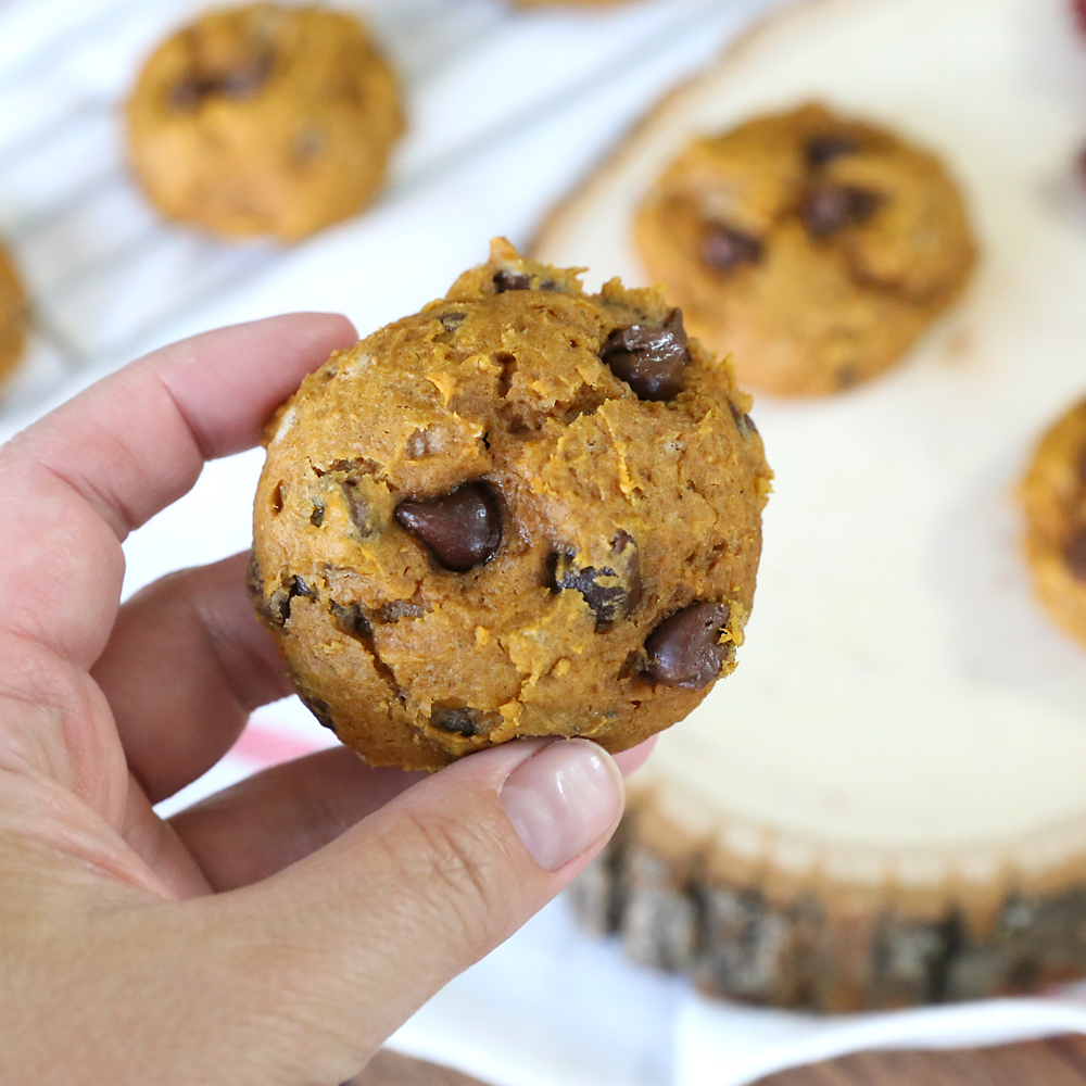 Hand holding Pumpkin chocolate chip cookie