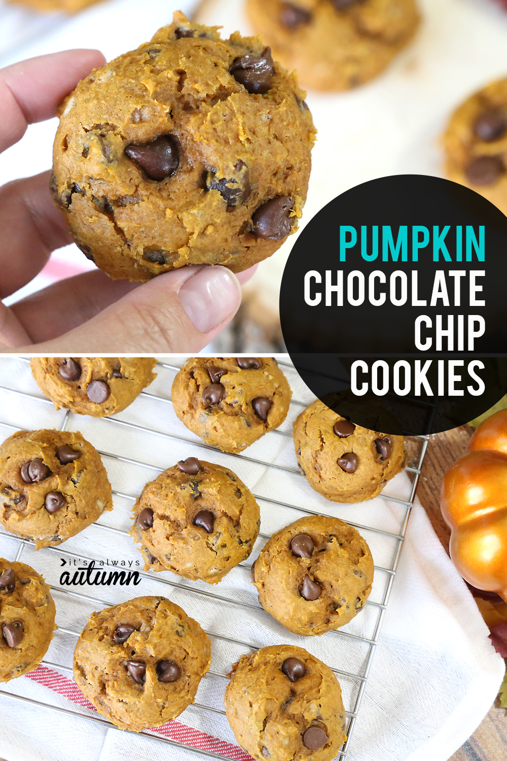 Pumpkin chocolate chip cookies