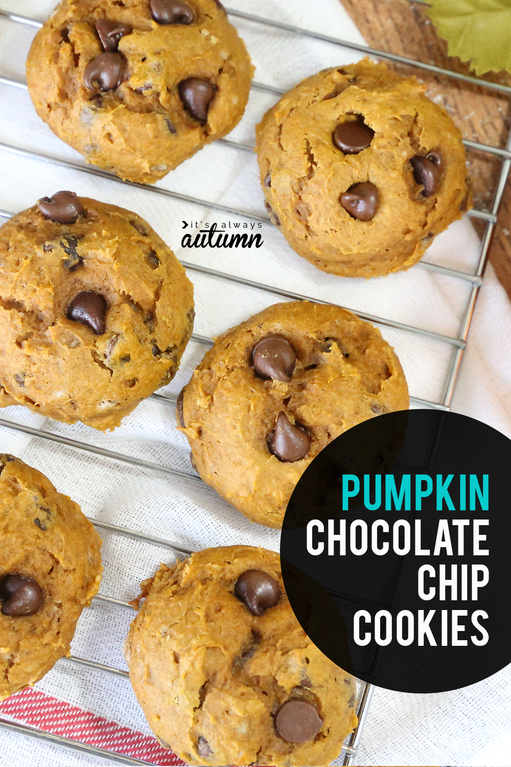 Pumpkin chocolate chip cookies