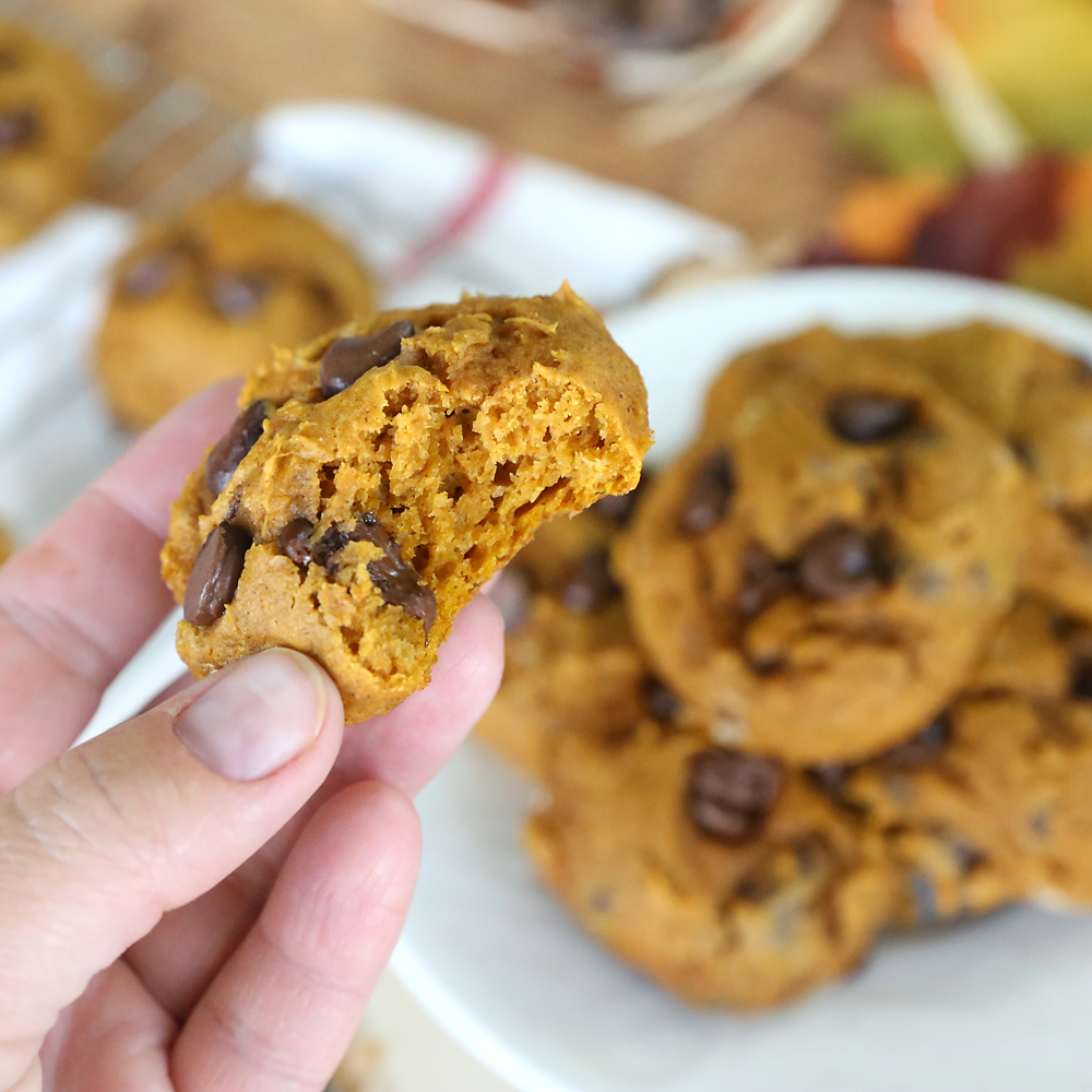Pumpkin chocolate chip cookie with a bite taken out of it
