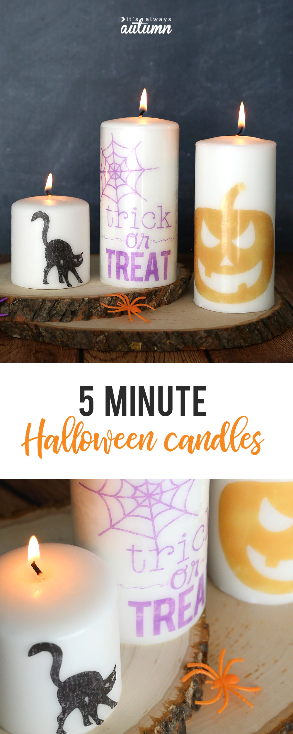 Candles decorated with Halloween designs