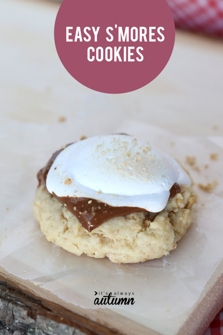 S'mores Cookies {easy recipe using a cake mix} It's Always Autumn