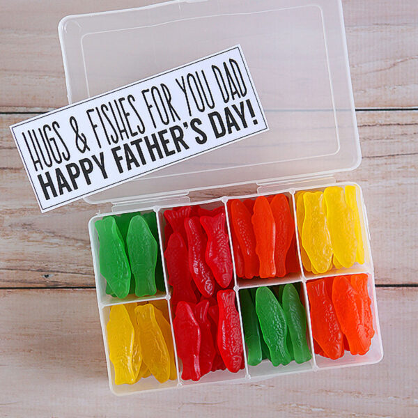 30 Easy DIY Father s Day Gifts