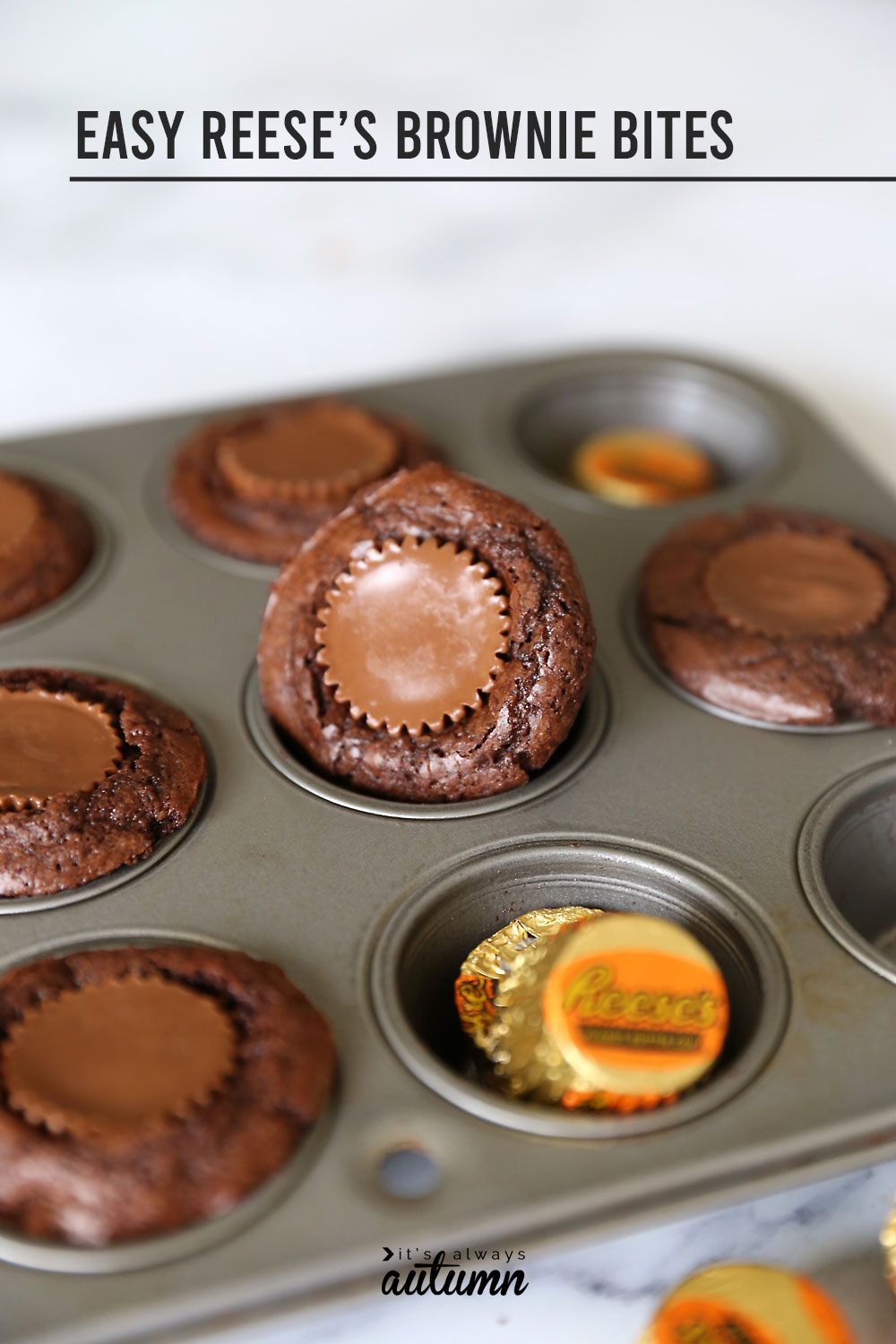 Easy peanut butter cup brownie bites