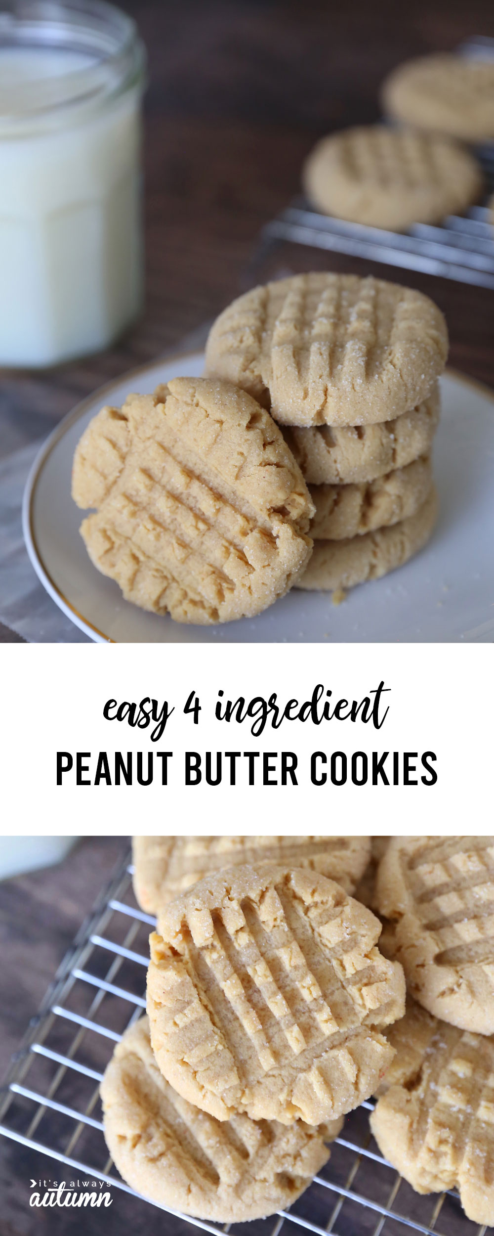 Easy four ingredient peanut butter cookies