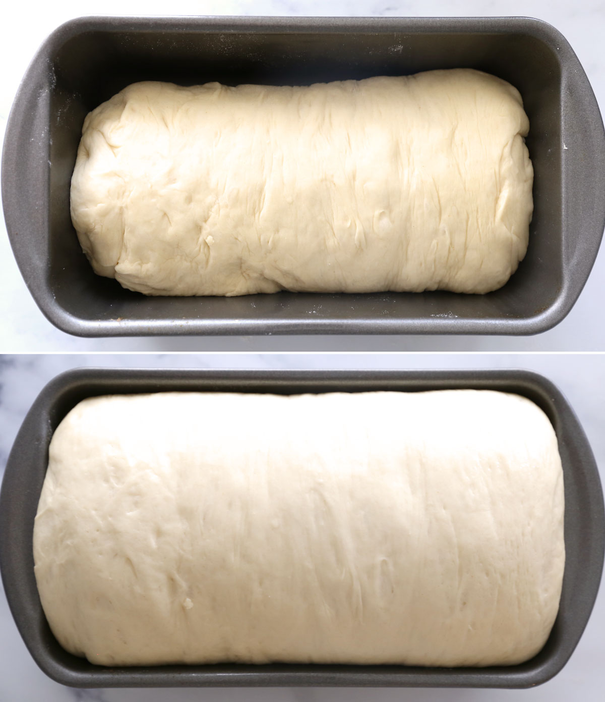 Homemade bread: before and after the second rise