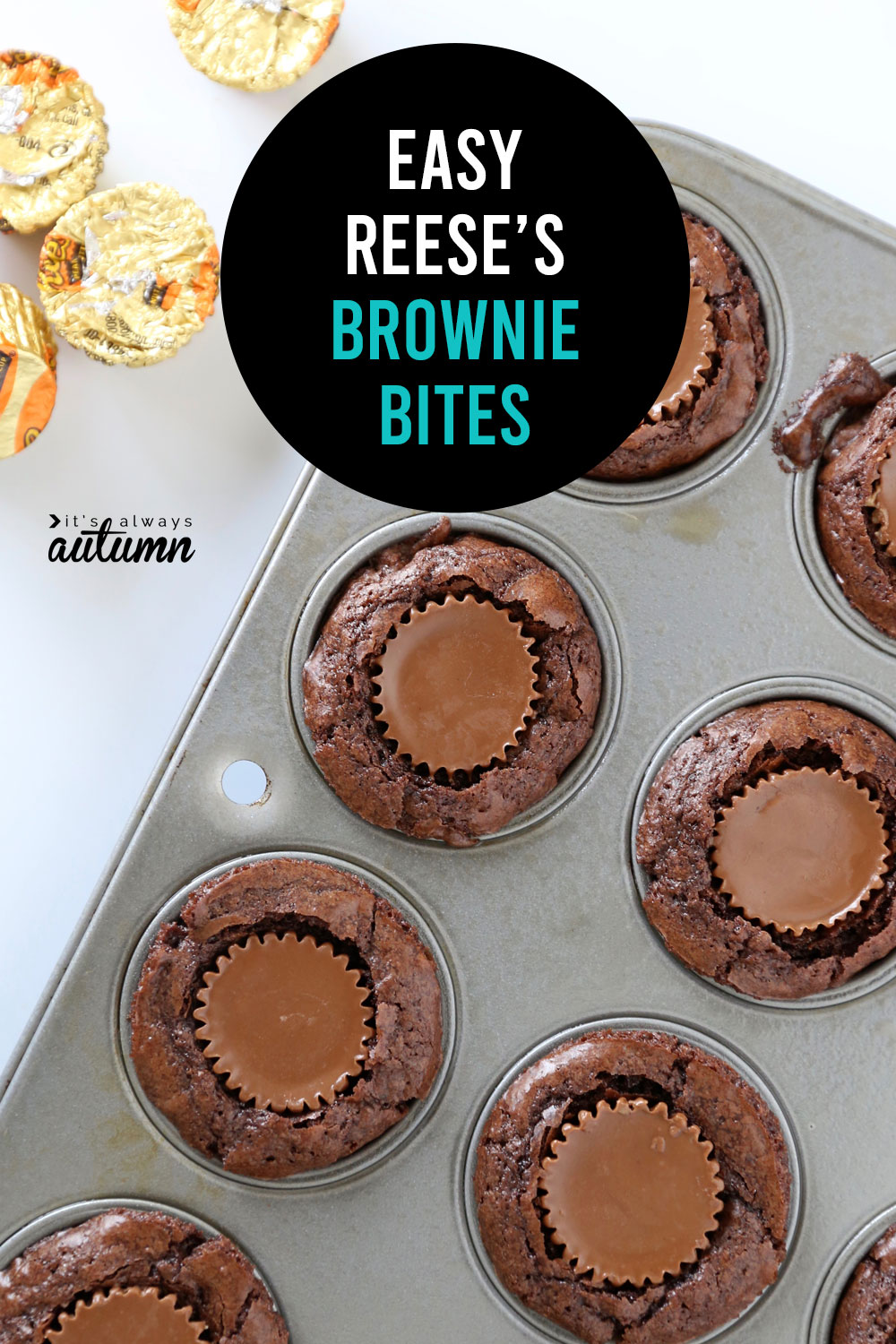 These peanut butter cup brownie bites are so easy to make and so delicious!