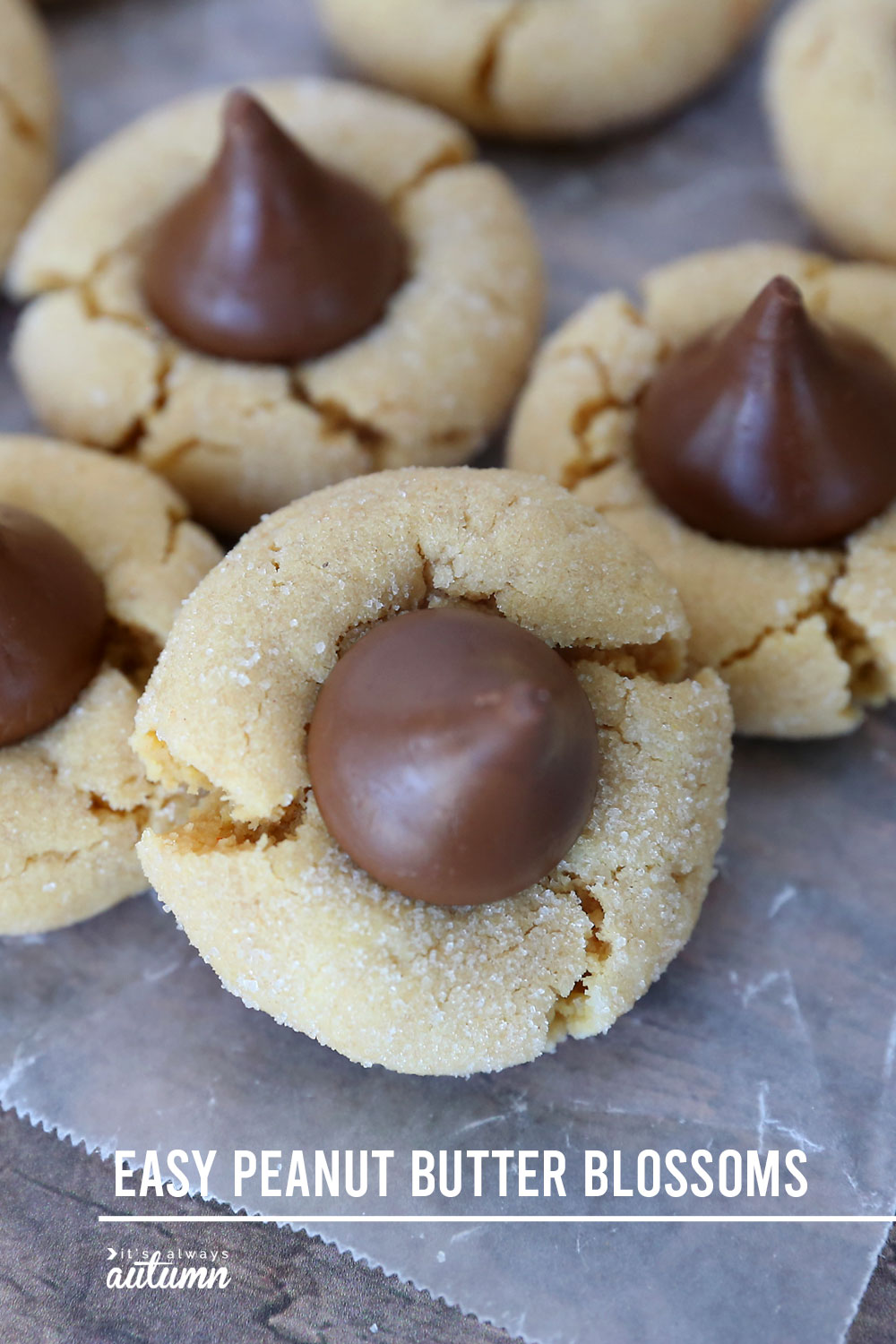Peanut butter blossoms: peanut butter cookies with a Hershey kiss pressed in the middle