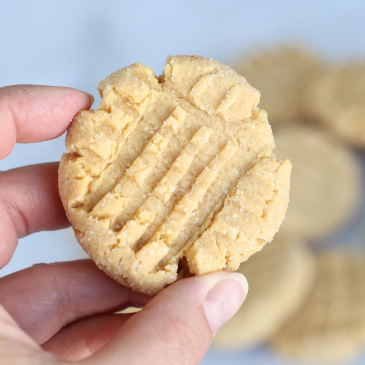 Hand holding a peanut butter cookie