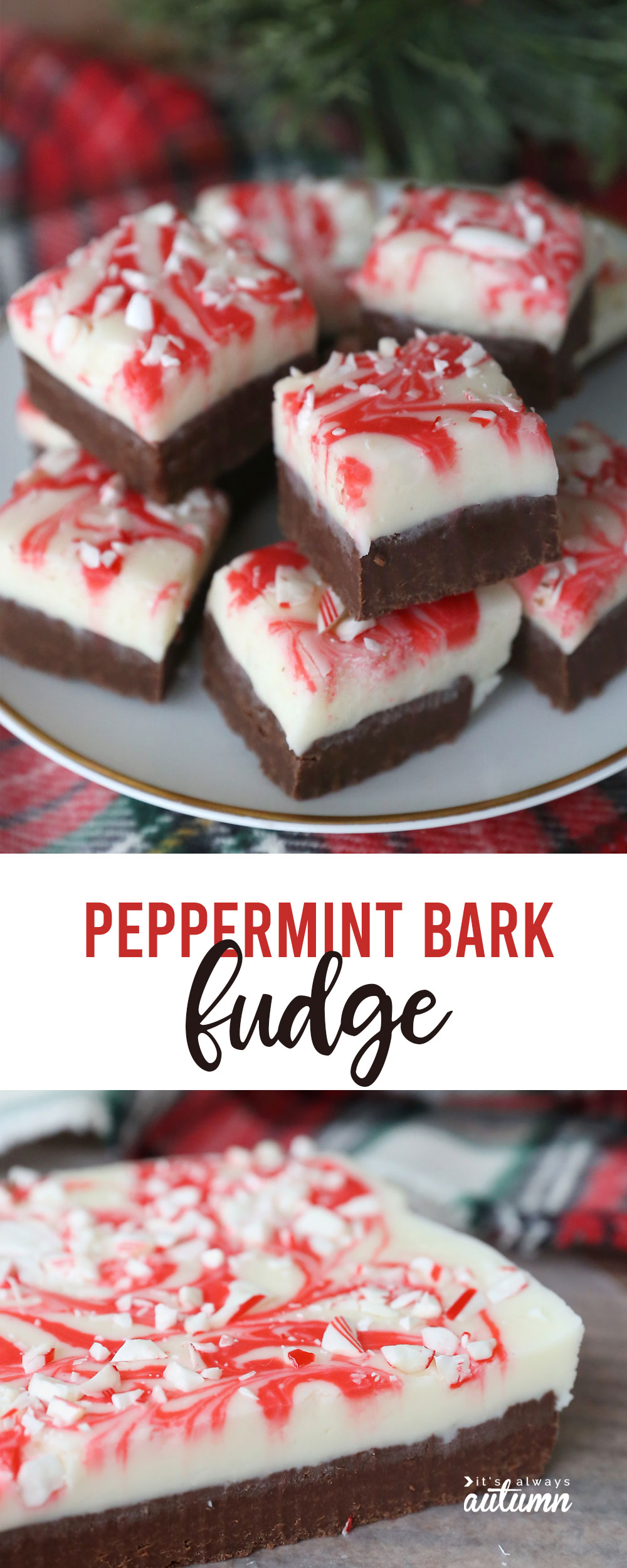 You can make this delicious peppermint bark fudge in the microwave! It's easy and delicious.