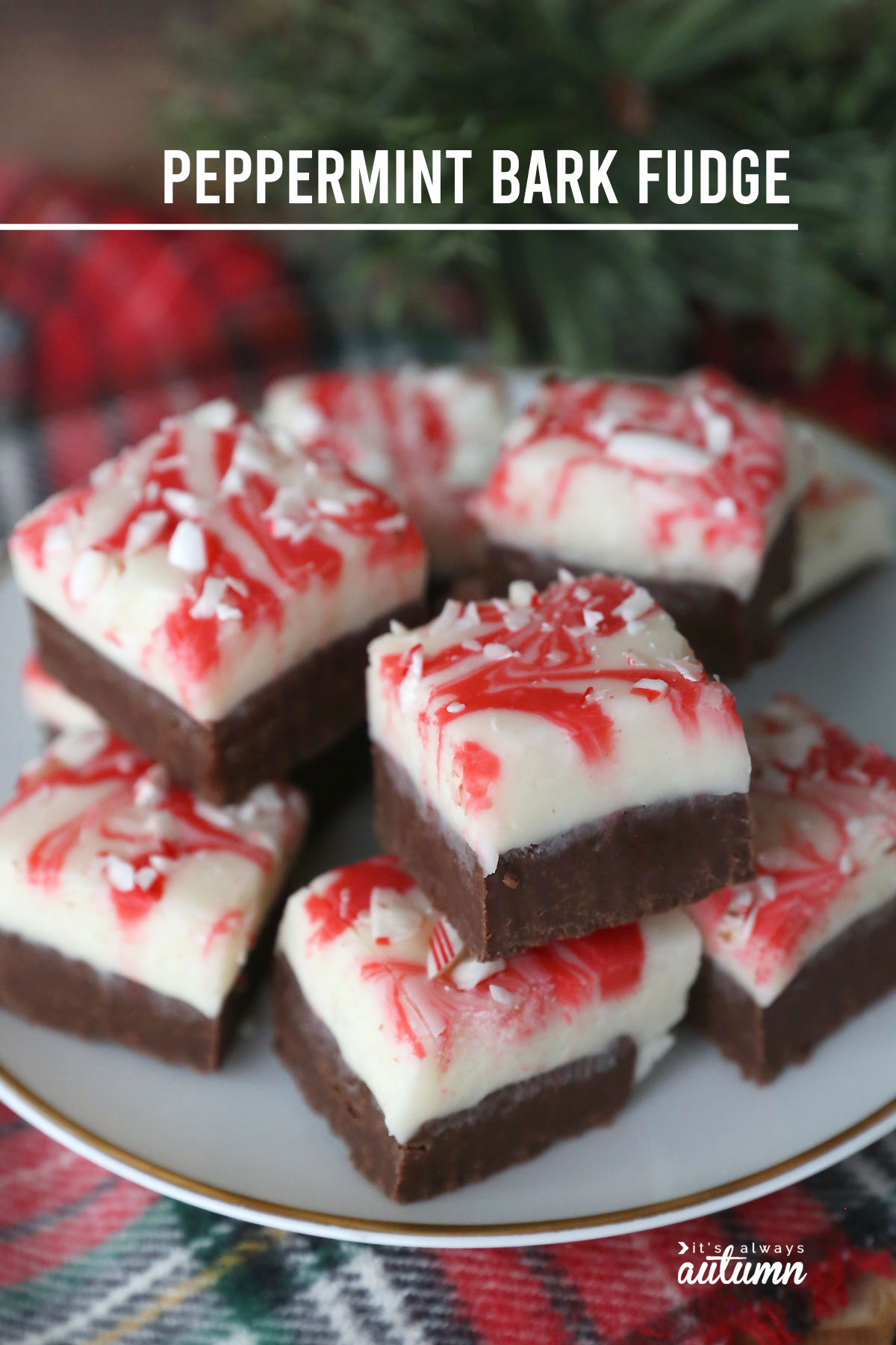 You can make this delicious peppermint bark fudge in the microwave! It's easy and delicious.