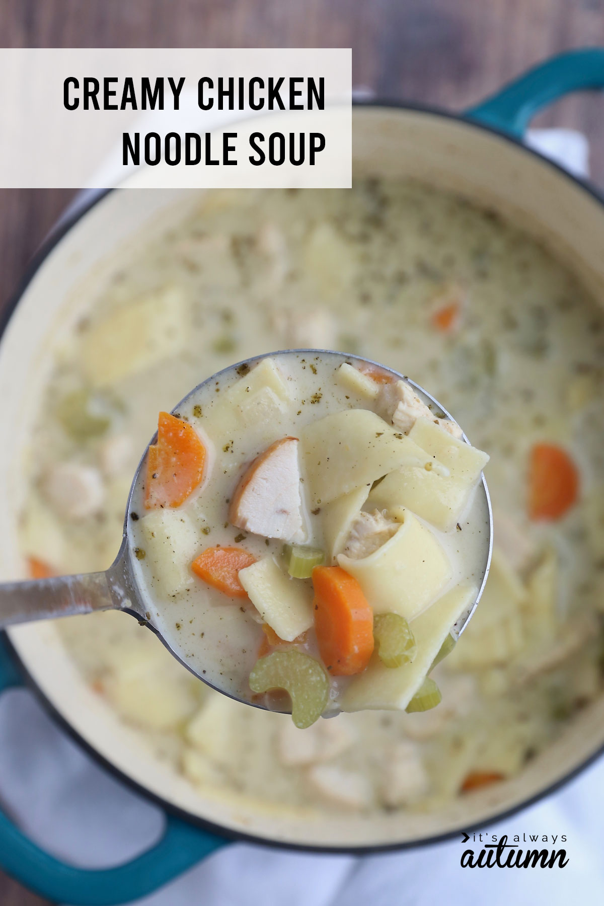 This creamy chicken noodle soup is packed with flavor and so comforting!