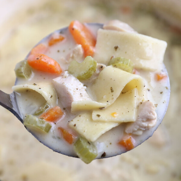 A soup ladle full of creamy chicken noodle soup