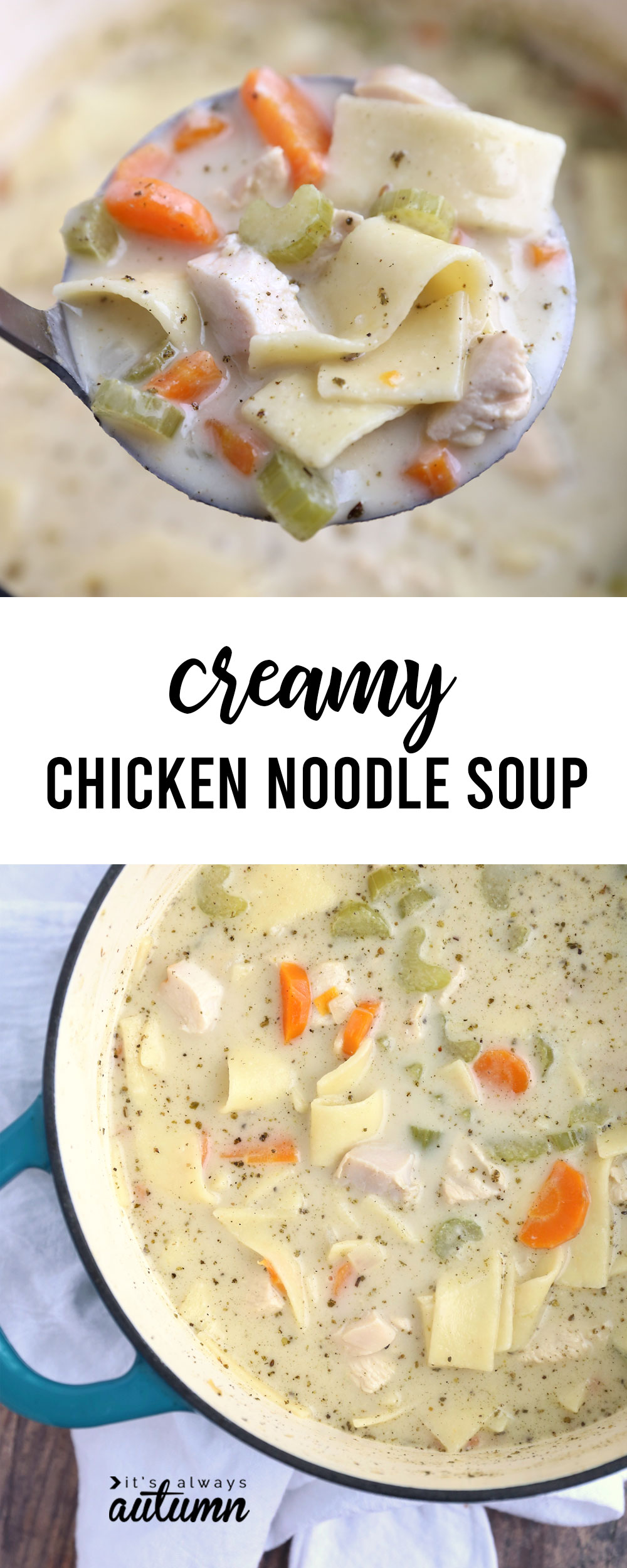 This creamy chicken noodle soup is packed with flavor and so comforting!