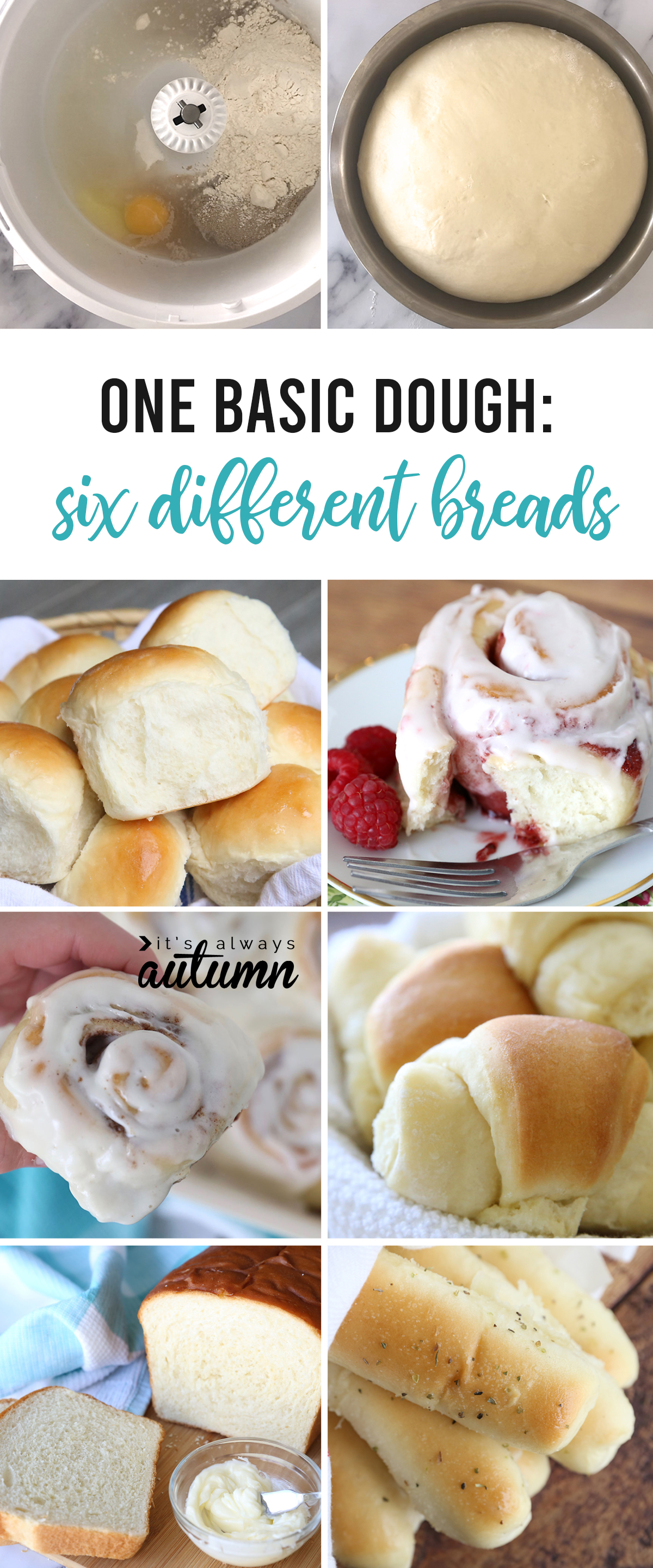 You can use this one basic bread dough to make six different things: dinner rolls, garlic breadsticks, cinnamon rolls, raspberry rolls, and more!