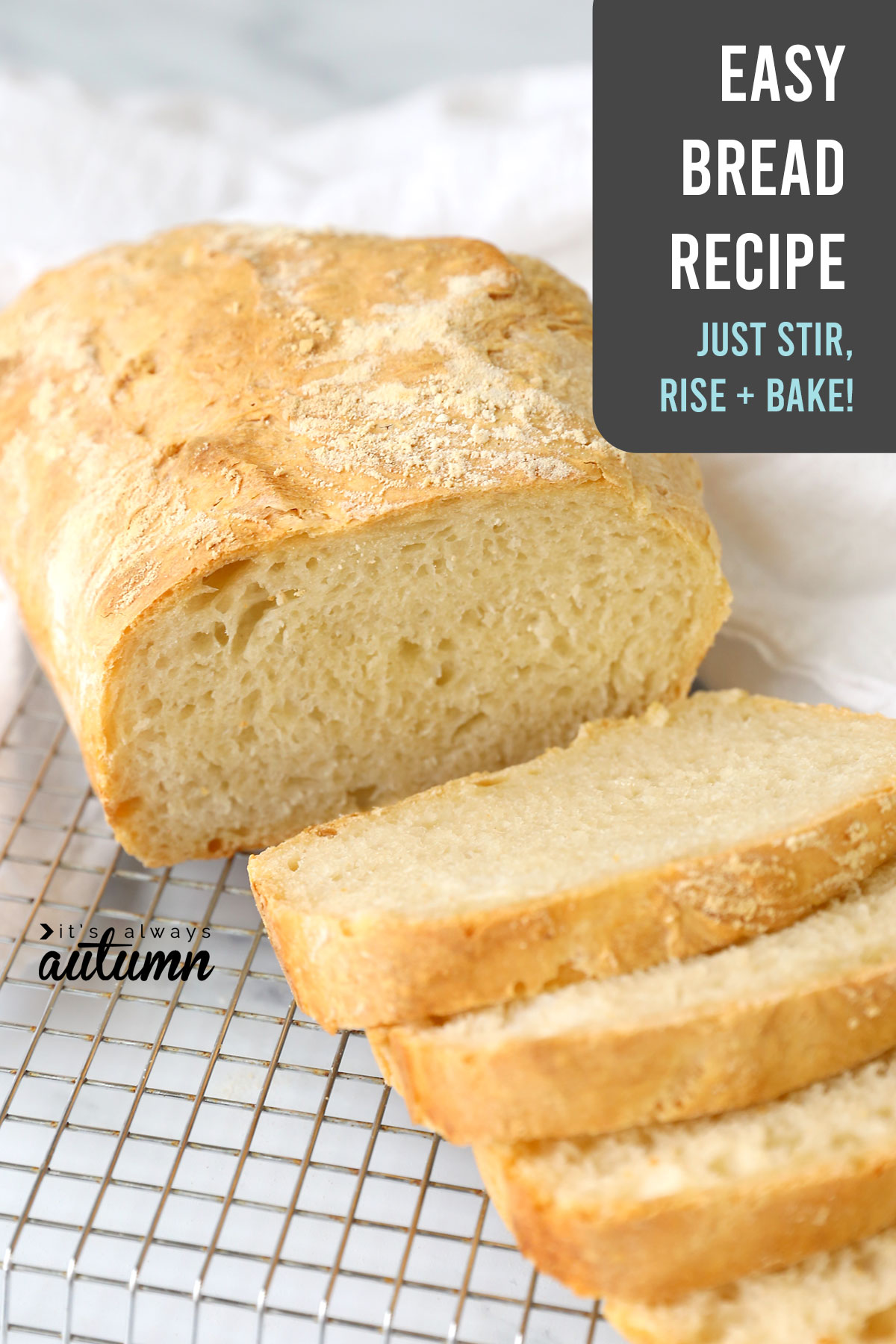 This easy bread recipe only require flour, salt, yeast, and water! All you have to do is stir, rise, and bake.