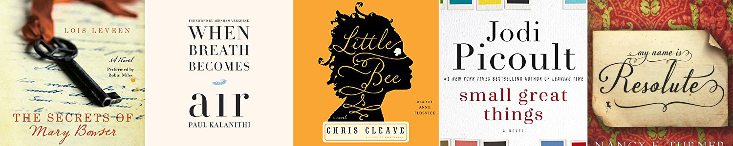 Book cover for the book Little Bee