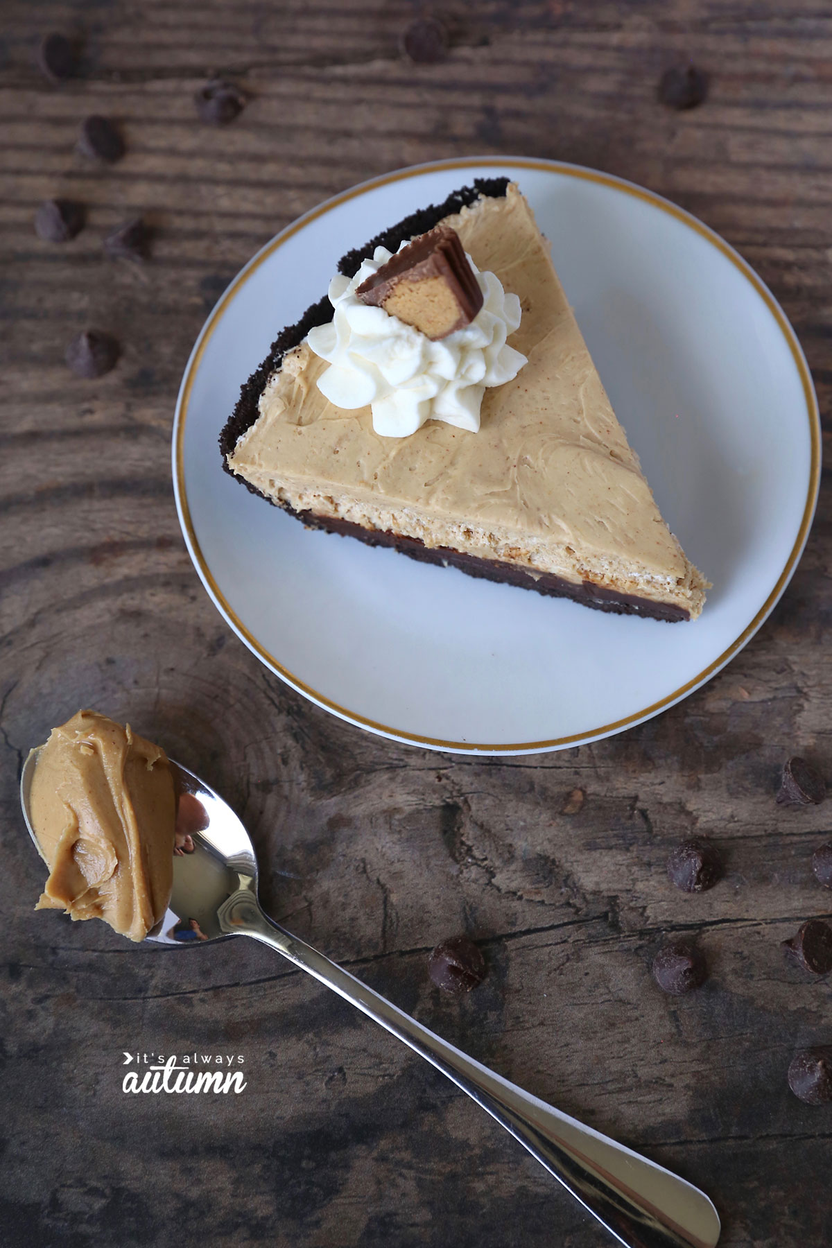 This easy chocolate peanut butter pie only takes 5 ingredients and 15 minutes to make!