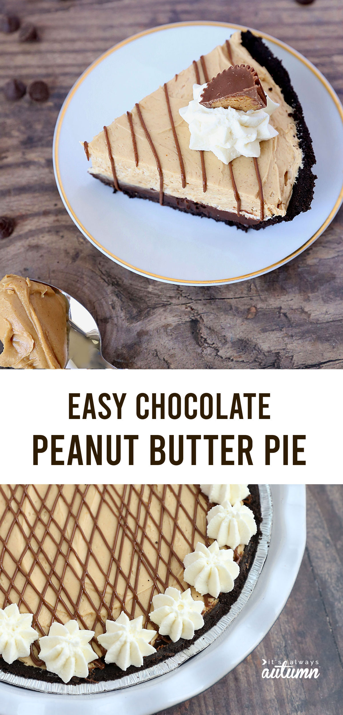 This easy chocolate peanut butter pie only takes 5 ingredients and 15 minutes to make!