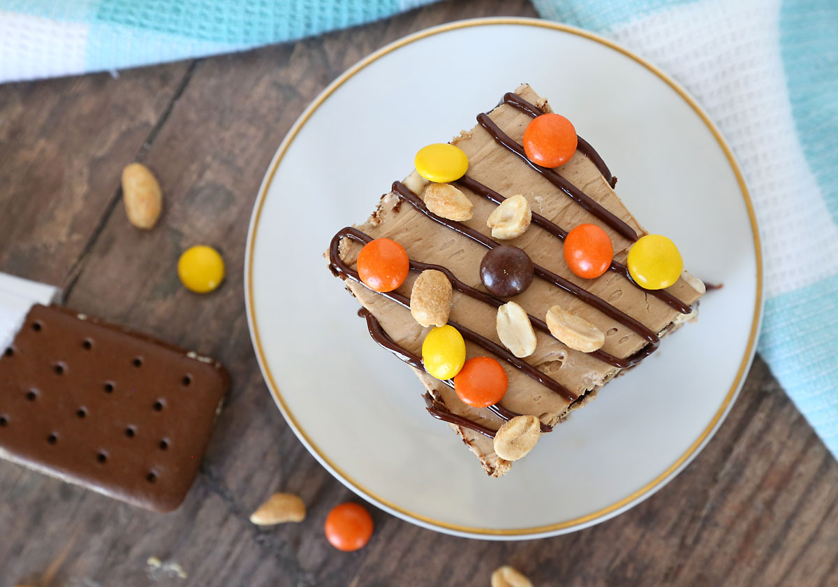 The top of a piece of peanut butter ice cream cake, with hot fudge, peanuts, and Reese\'s pieces