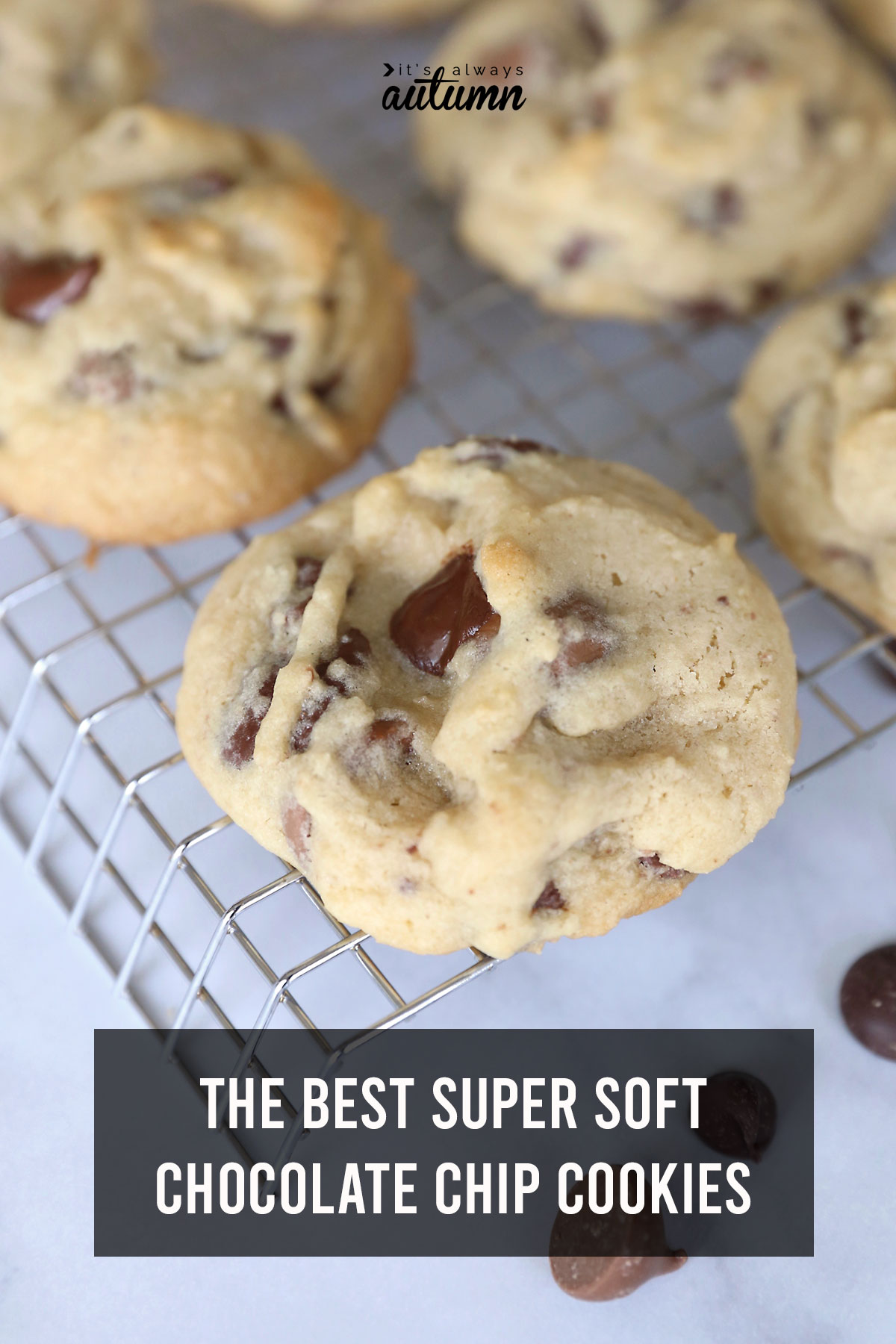 The BEST soft chocolate chip cookie recipe