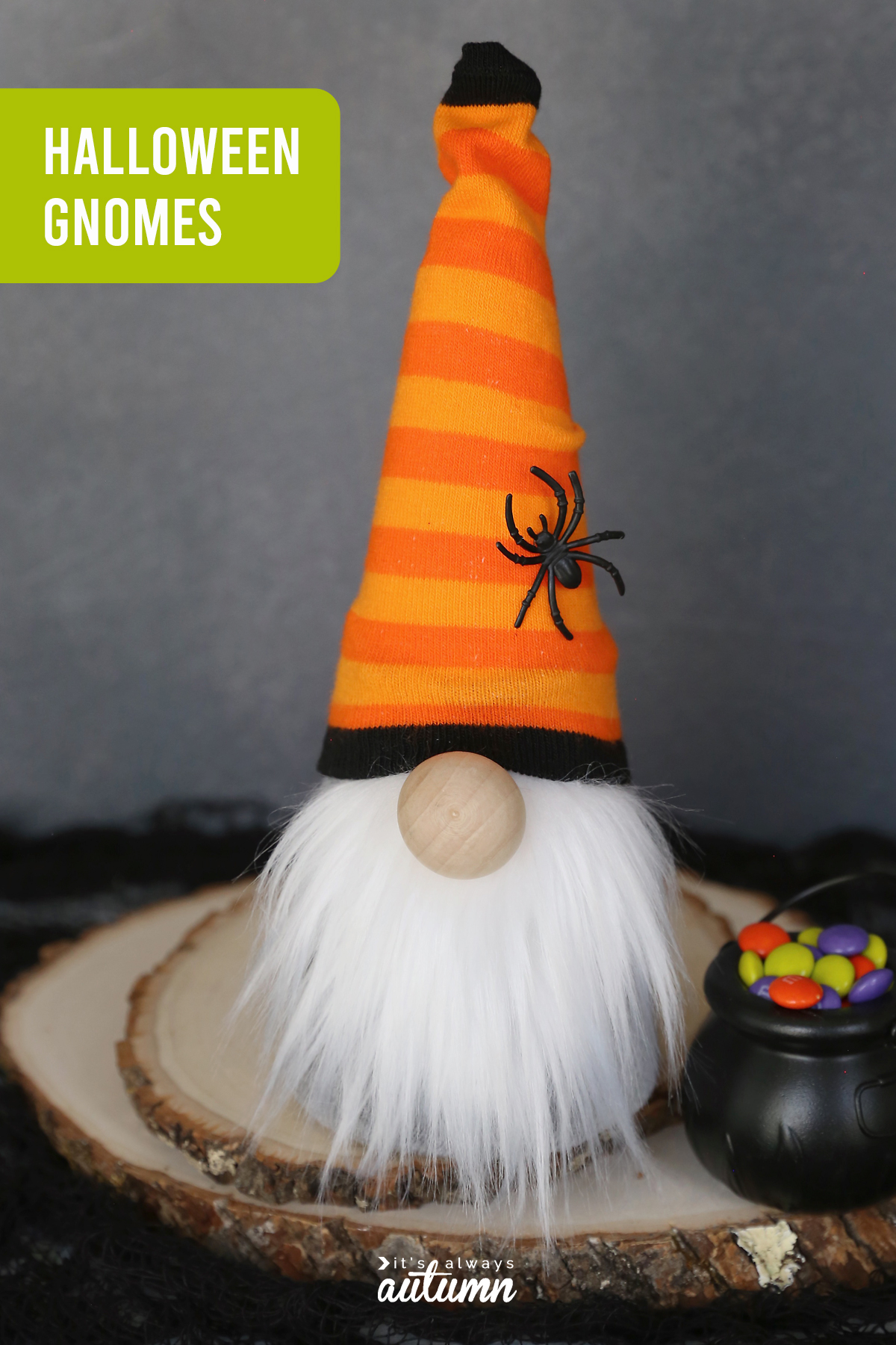 Halloween gnome with an orange striped hat and spider