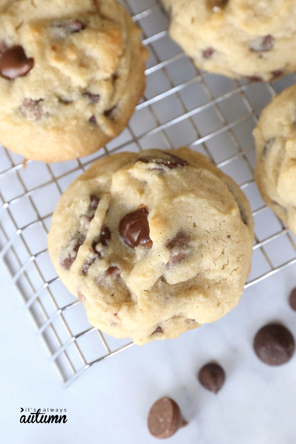 The perfect soft chocolate chip cookie on a cooling rack