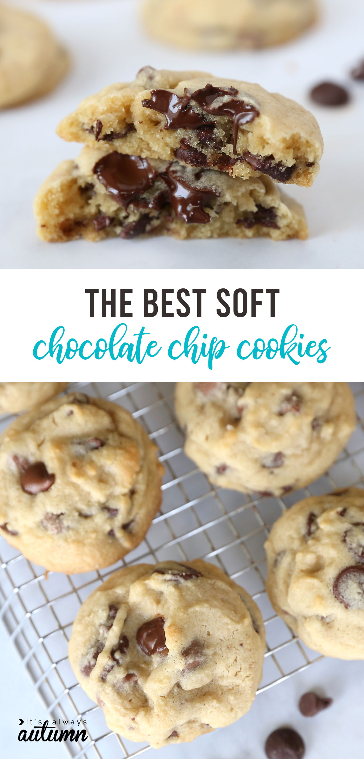 The BEST soft chocolate chip cookie recipe