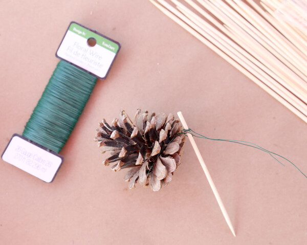 Pinecone wired or glue to skewer