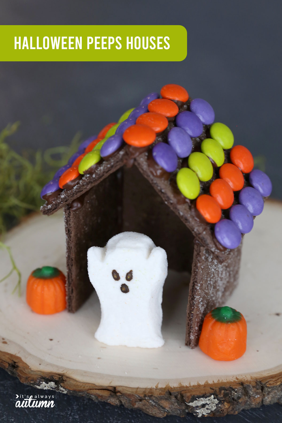 This is the absolute easiest way to make Halloween gingerbread houses - use chocolate graham crackers!