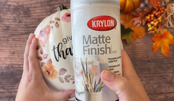 Spray with matte finish spray if desired