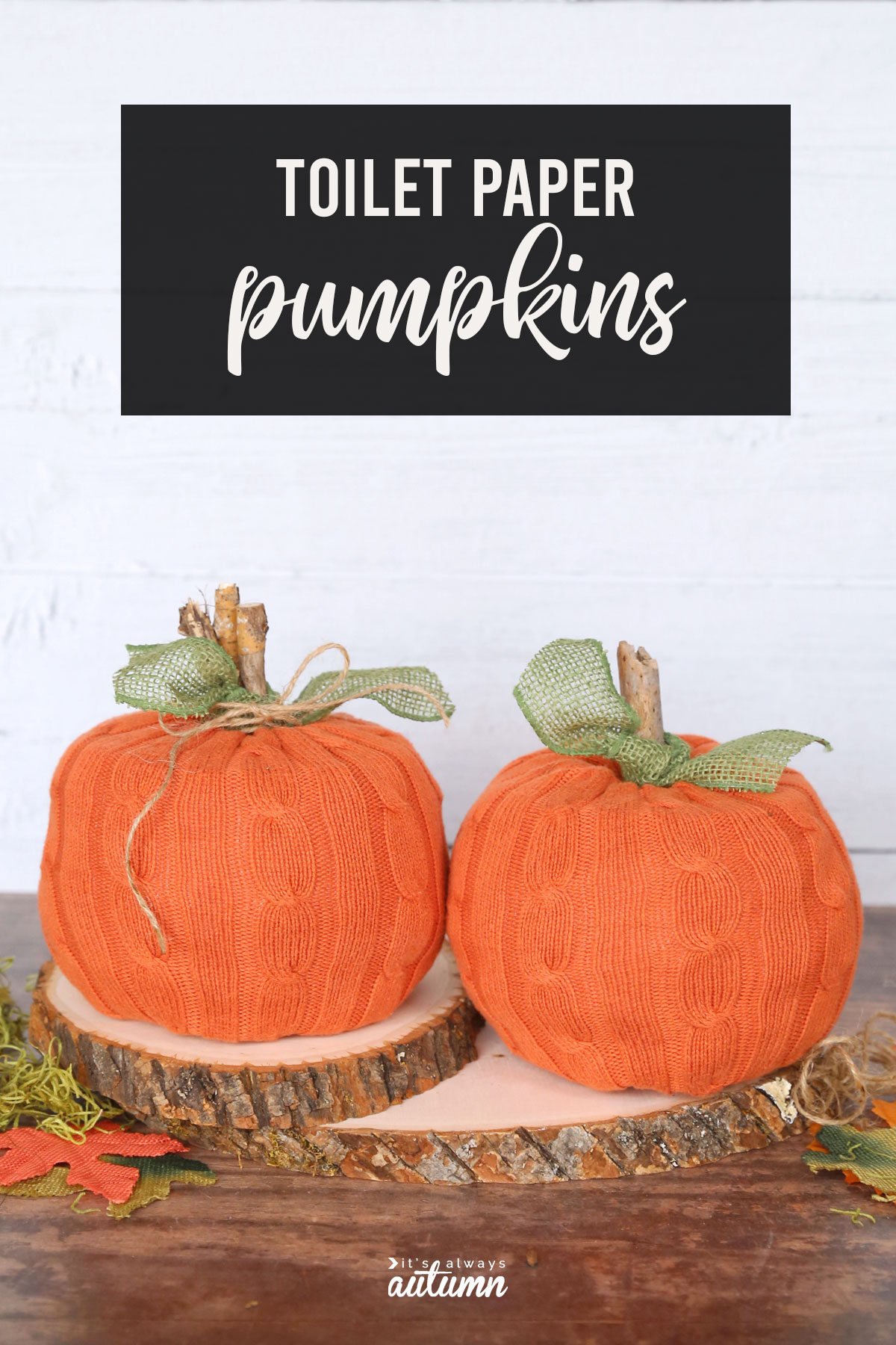 Use a thrifted sweater to turn a couple rolls of toilet paper into adorable pumpkins