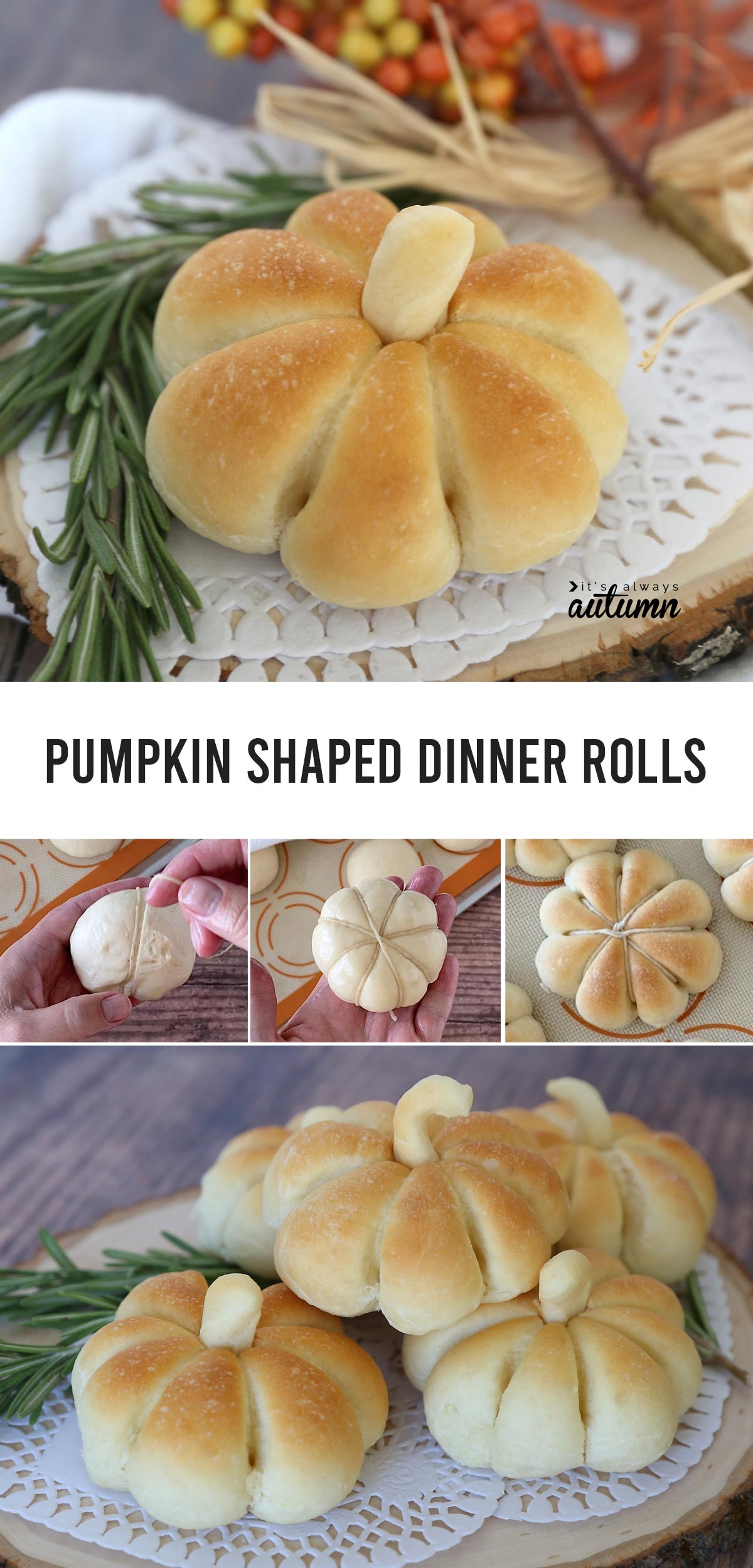Learn how to make pumpkin shaped dinner rolls!