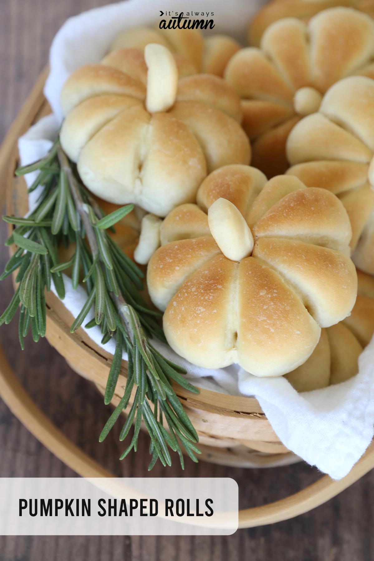 Pumpkin shaped dinner rolls are the perfect addition to your Thanksgiving table!