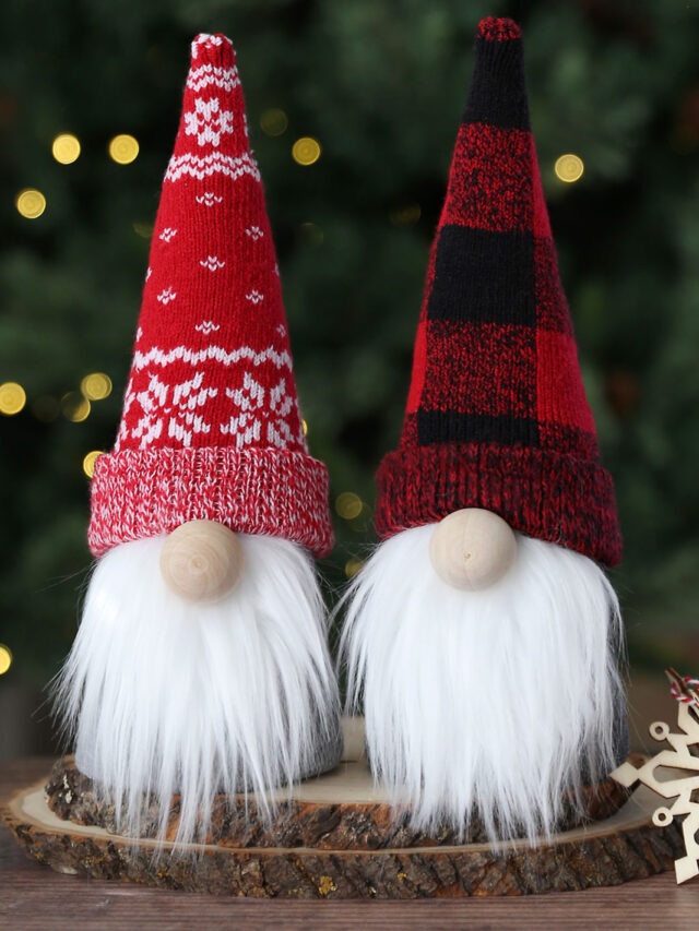 Sock Gnome Craft