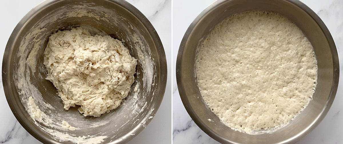 Pizza crust: stir ingredients together, rise 8-24 hours until puffy