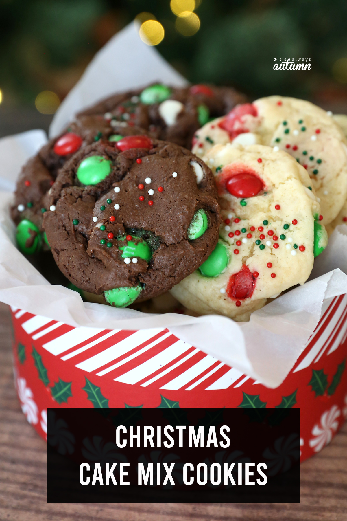 Chocolate and vanilla cake mix Christmas cookies