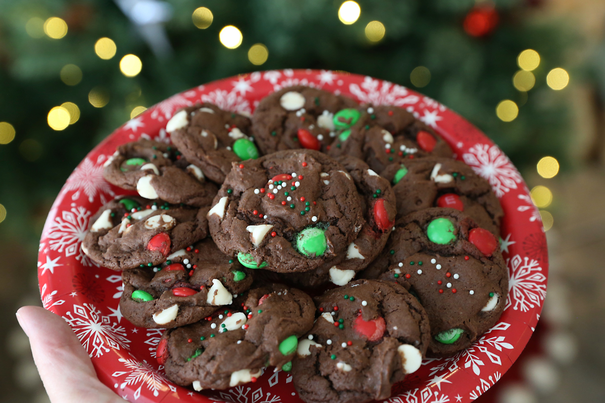 Plate of chocolate Christmas cookies