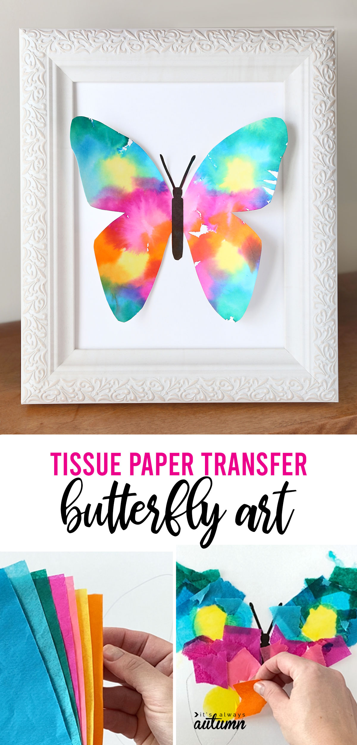 Colorful butterfly made of paper in a white picture frame; hands holding colorful tissue paper; hands placing squares of tissue paper on butterfly outline